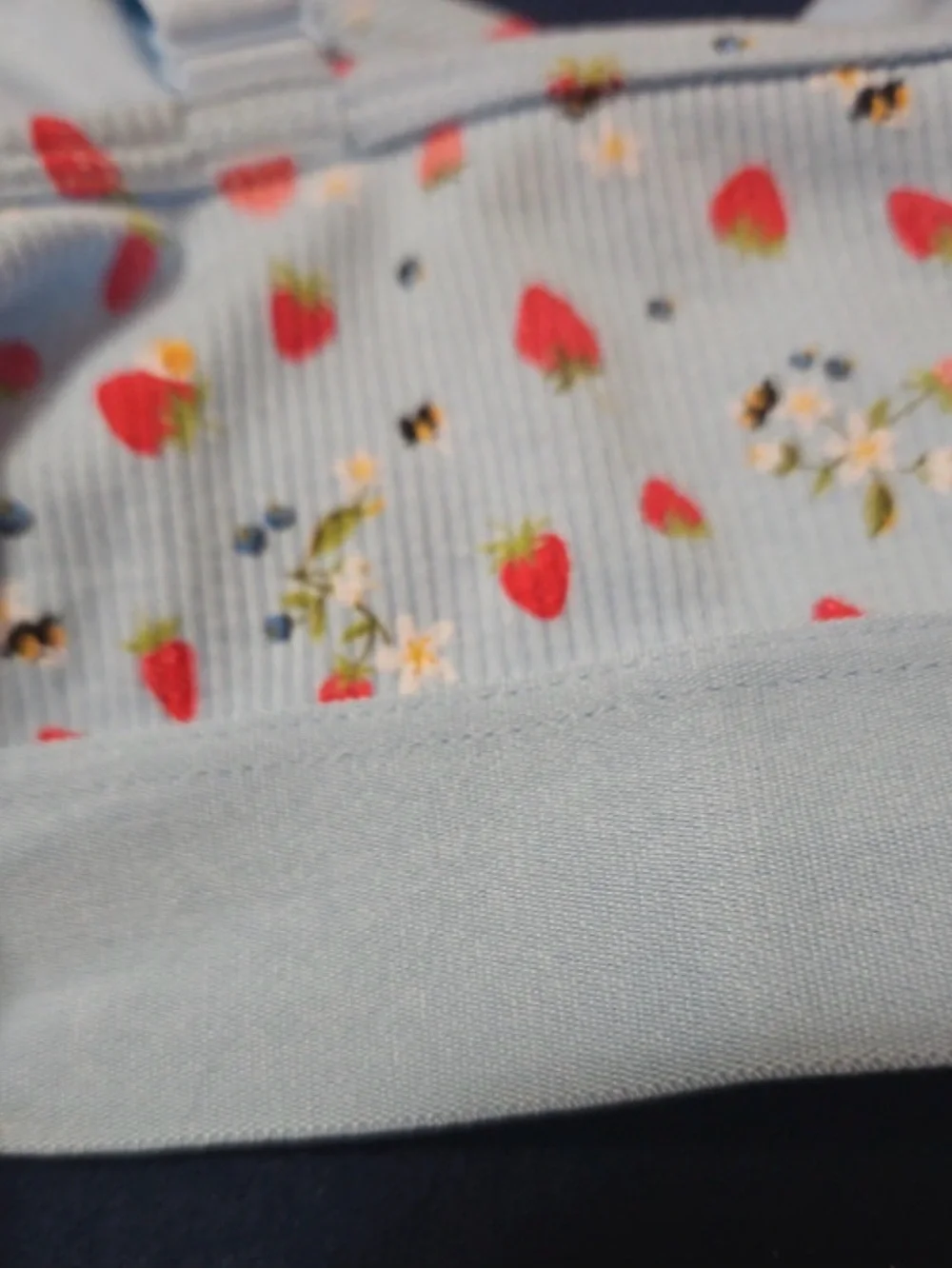 NWT-Wild Fable,Strawberry & Blue Floral Sports Bra in XXL ,Bralette
